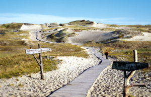 Lithuania off-road 4x4 route - coastal dunes